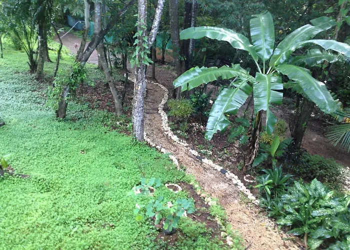 Alya Jungle Casitas