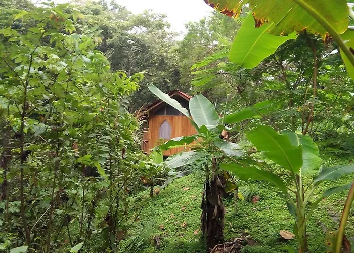 Alya Jungle Casitas *